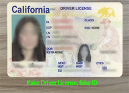 Sale of Any State Driver License.