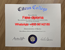 How Much for A Fake Citrus College D
