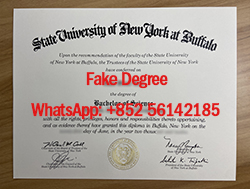 Buy a fake University at Buffalo dip