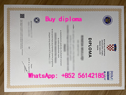 Obtained a diploma from the Universi