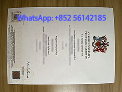 Fake Cardiff University diploma for 