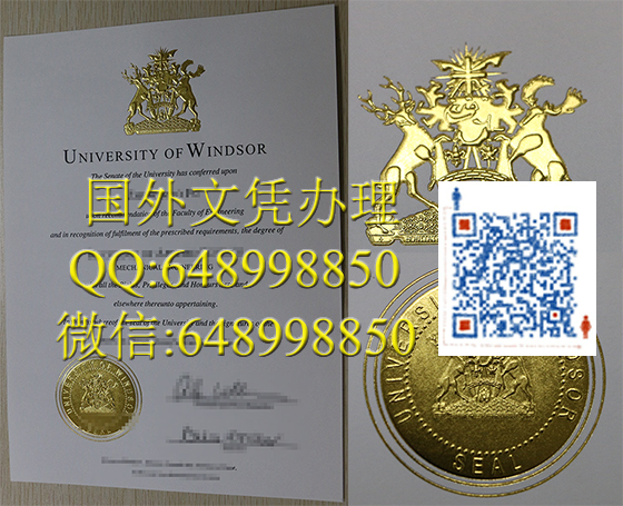 温莎大学文凭办理University of Windsor degree