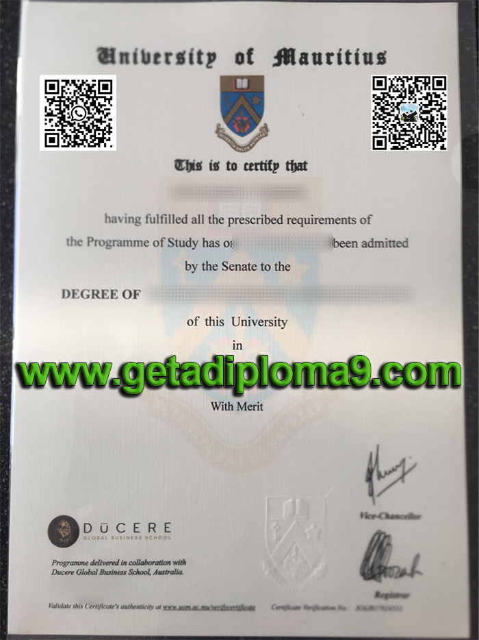 get the University of Mauritius diploma.