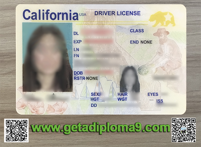 Buy fake Driving Licence