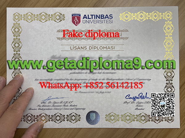 Altınbaş University degree